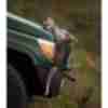 Фото прикол  про леопардов