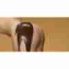 Фото прикол про ягодицы, шоколад пошлый